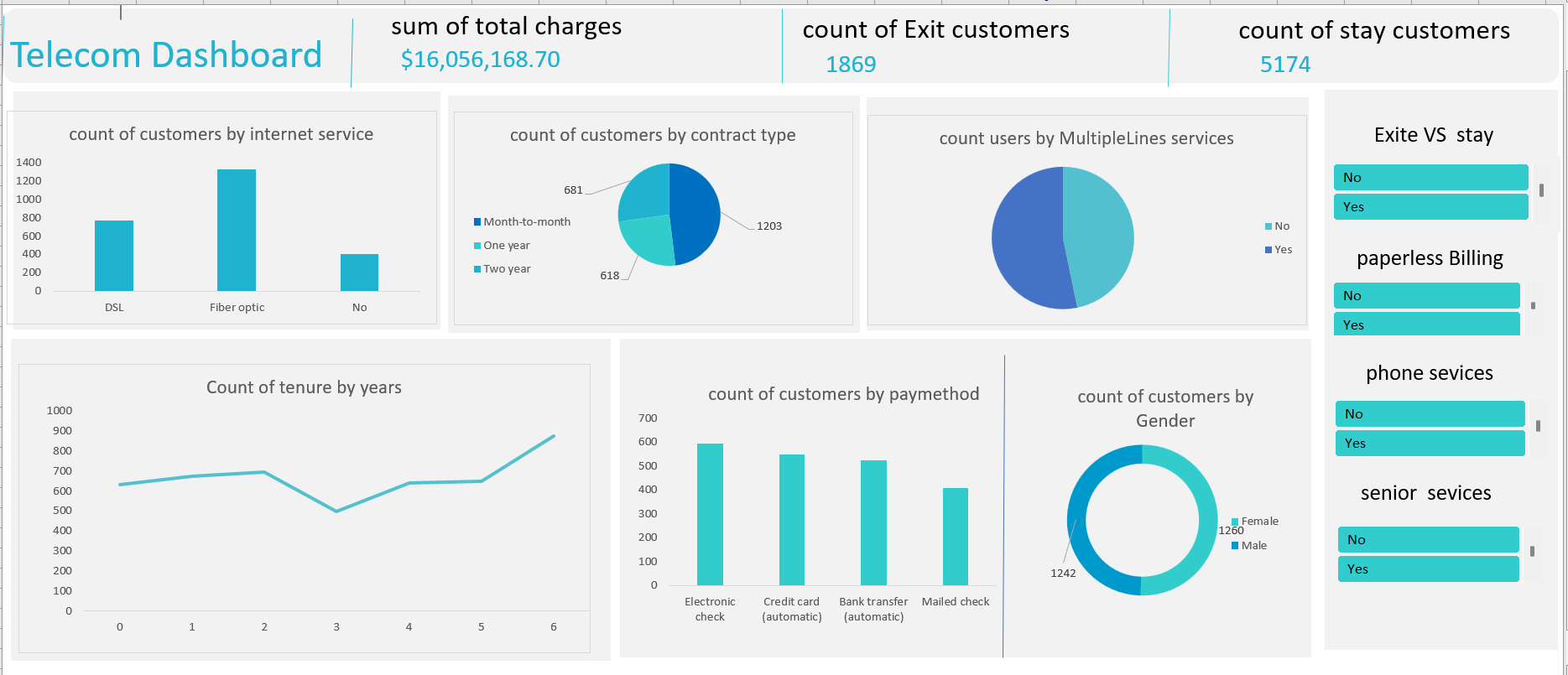 Excel Project